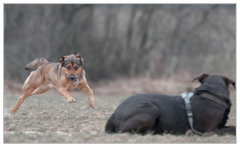 Mrvi will spielen
