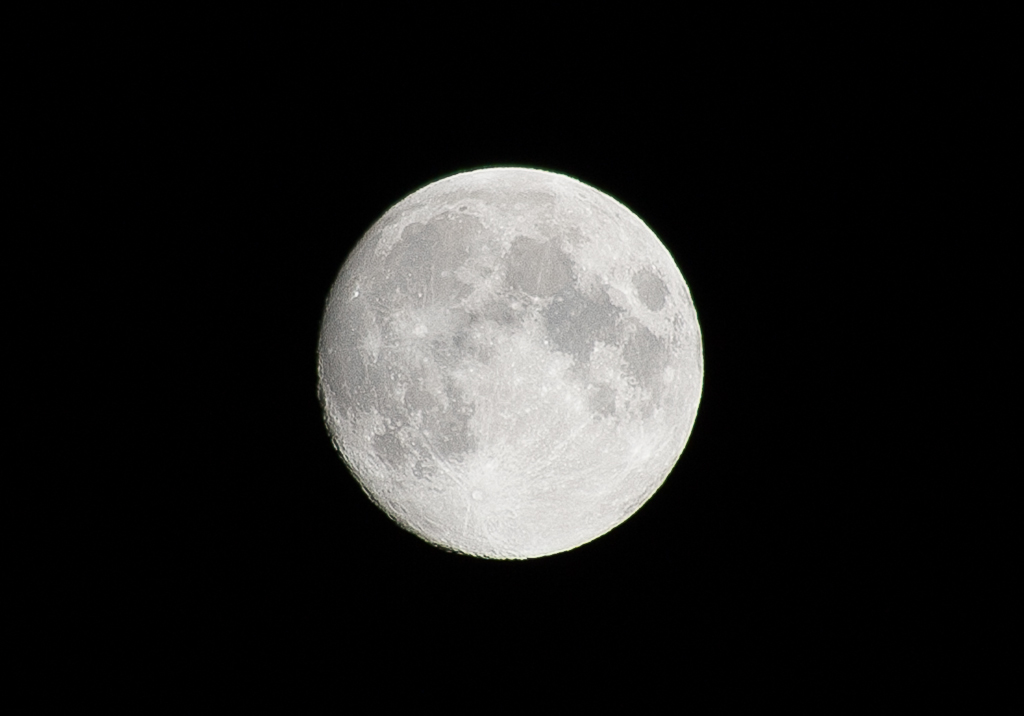 MT 7187