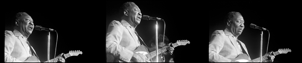 Muddy Waters 1979