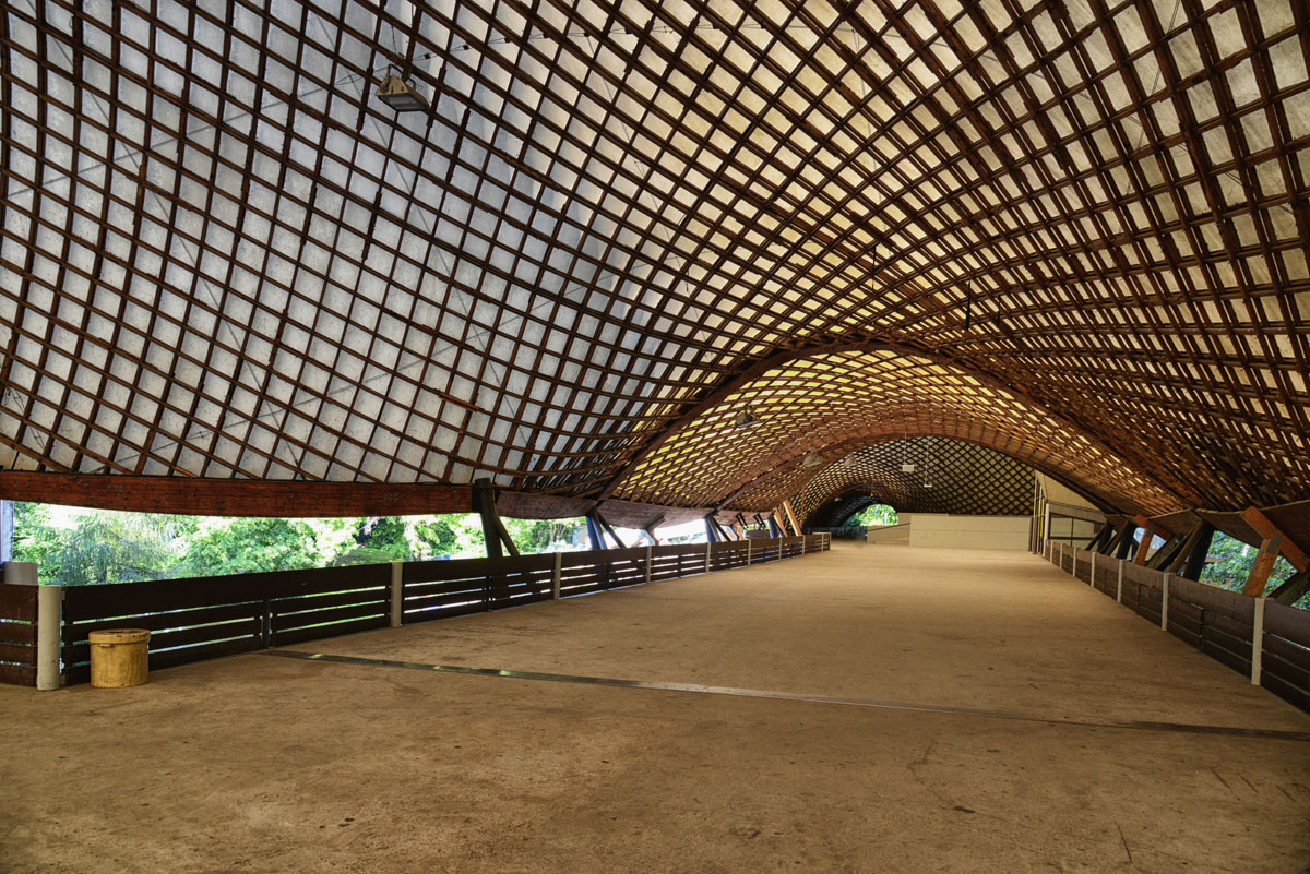 mulithalle 1200