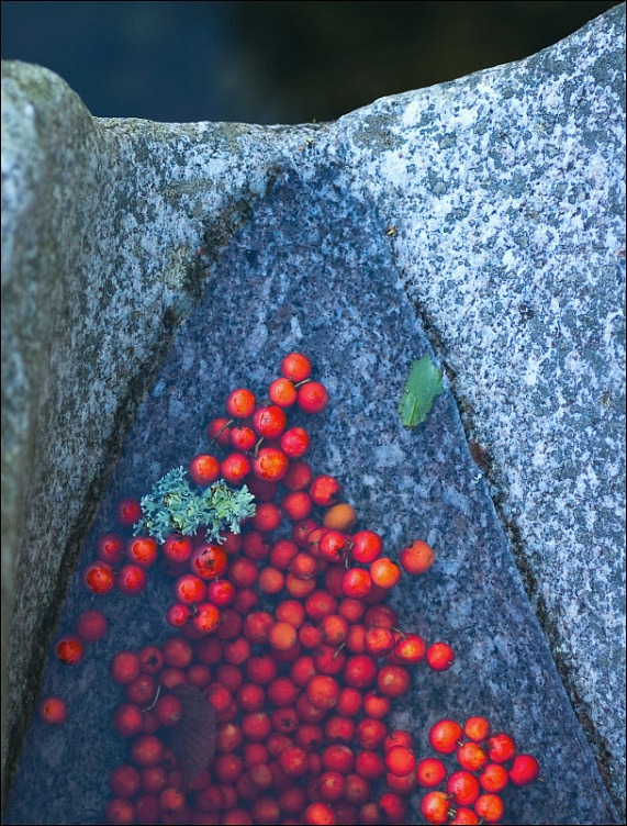 Murg Beeren 2