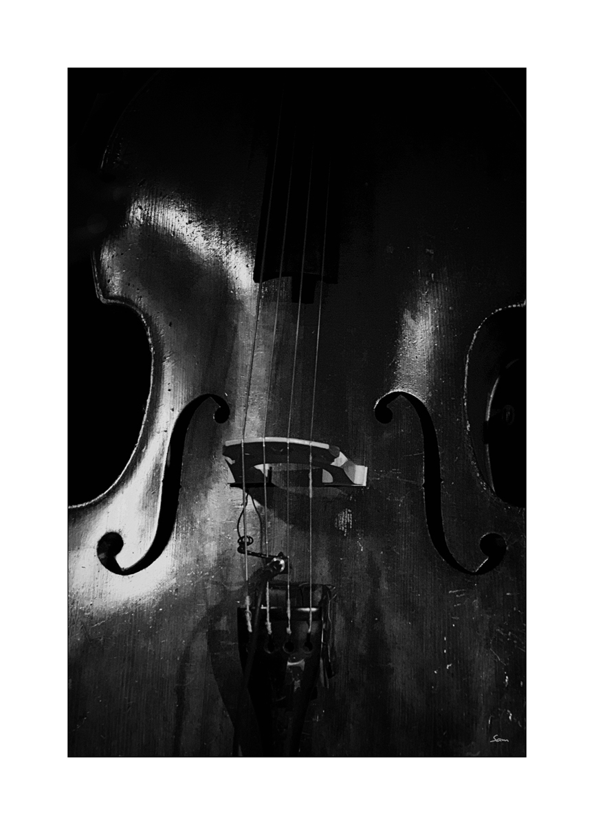 MusikDSC 4507
