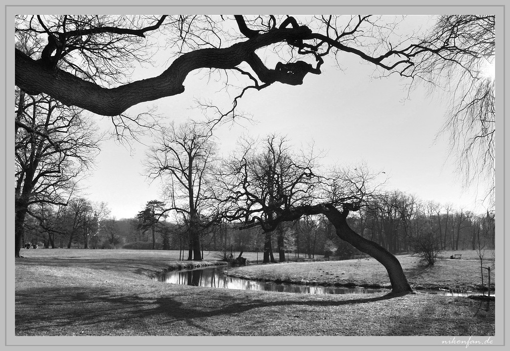 Muskauer Park DSC 3188