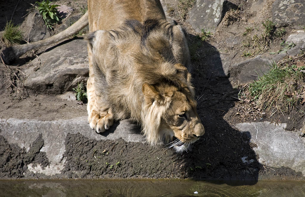 Muskelkater I