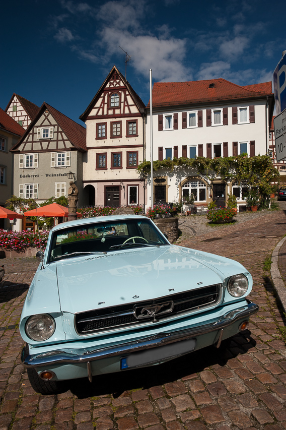 Mustang-2247.jpg