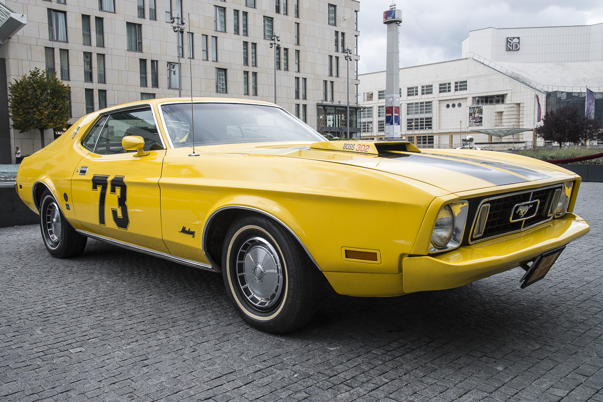 Mustang1