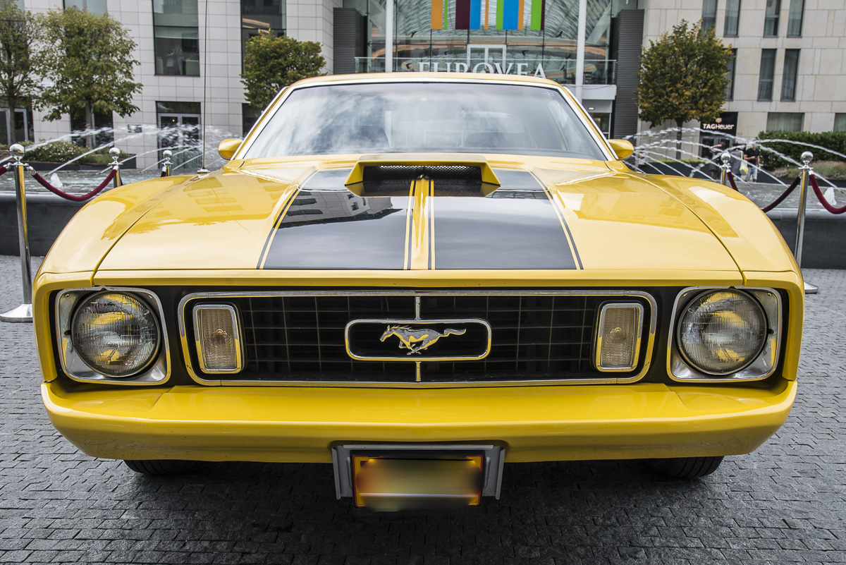 Mustang2