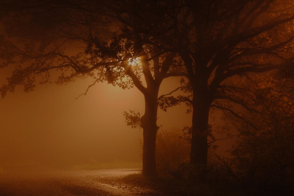mysteriöses Licht