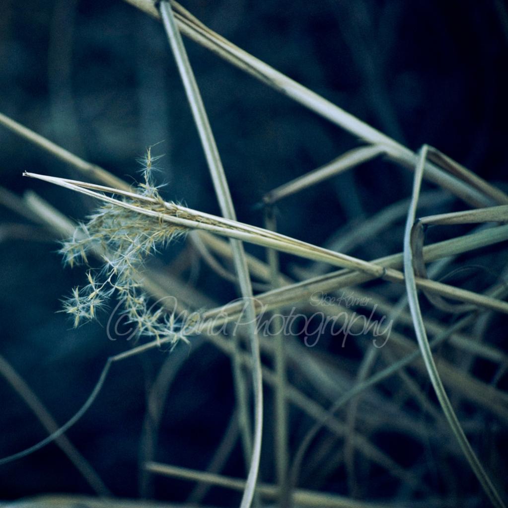 Mystified