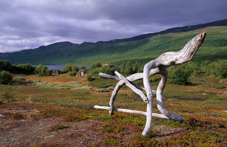 Mystik im Fjäll