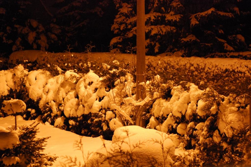 nächtliches Winterbild unter Laternenpfahl mit automatischen Weißabgleich