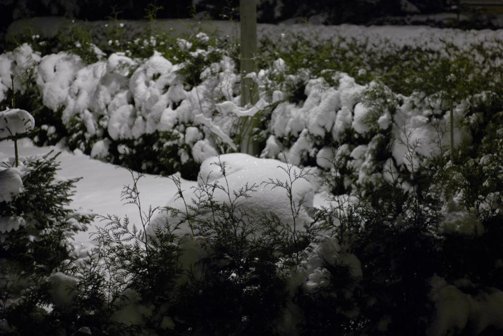 nächtliches Winterbild unter Laternenpfahl mit Weißabgleich auf Schnee