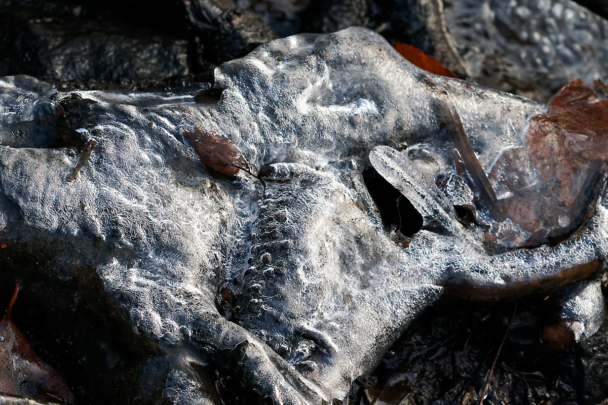 N1188839nikon.jpg