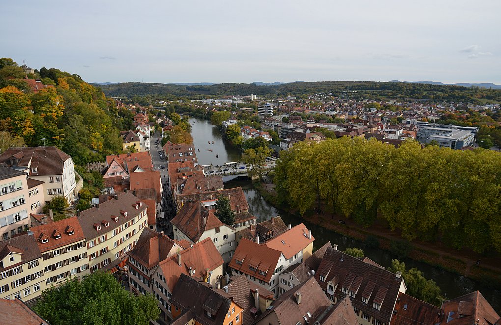n36