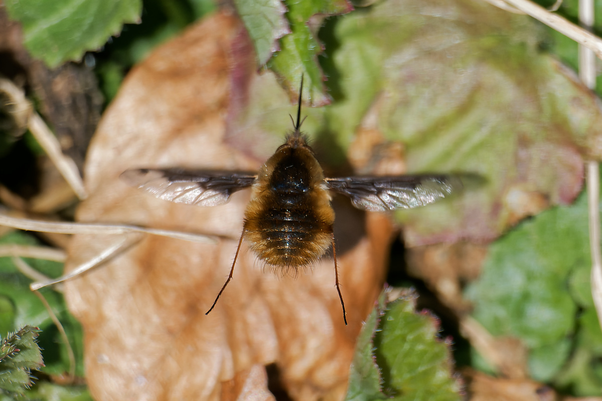 N4032749nikon.jpg