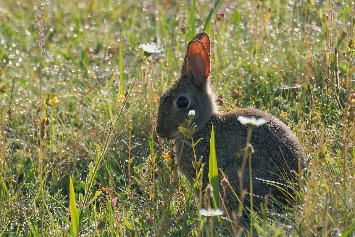 N6119929nikon.jpg