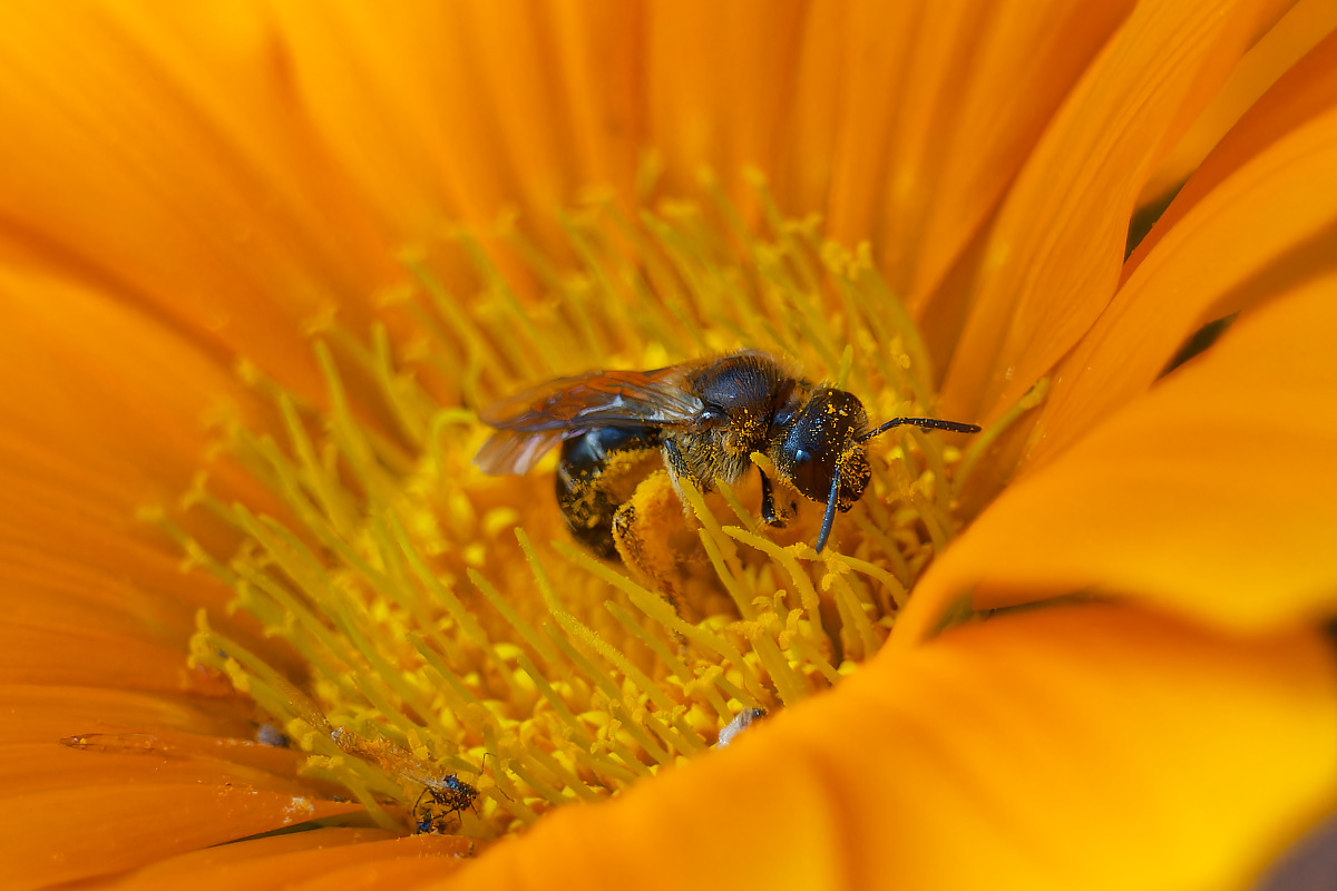 N6160727nikon.jpg