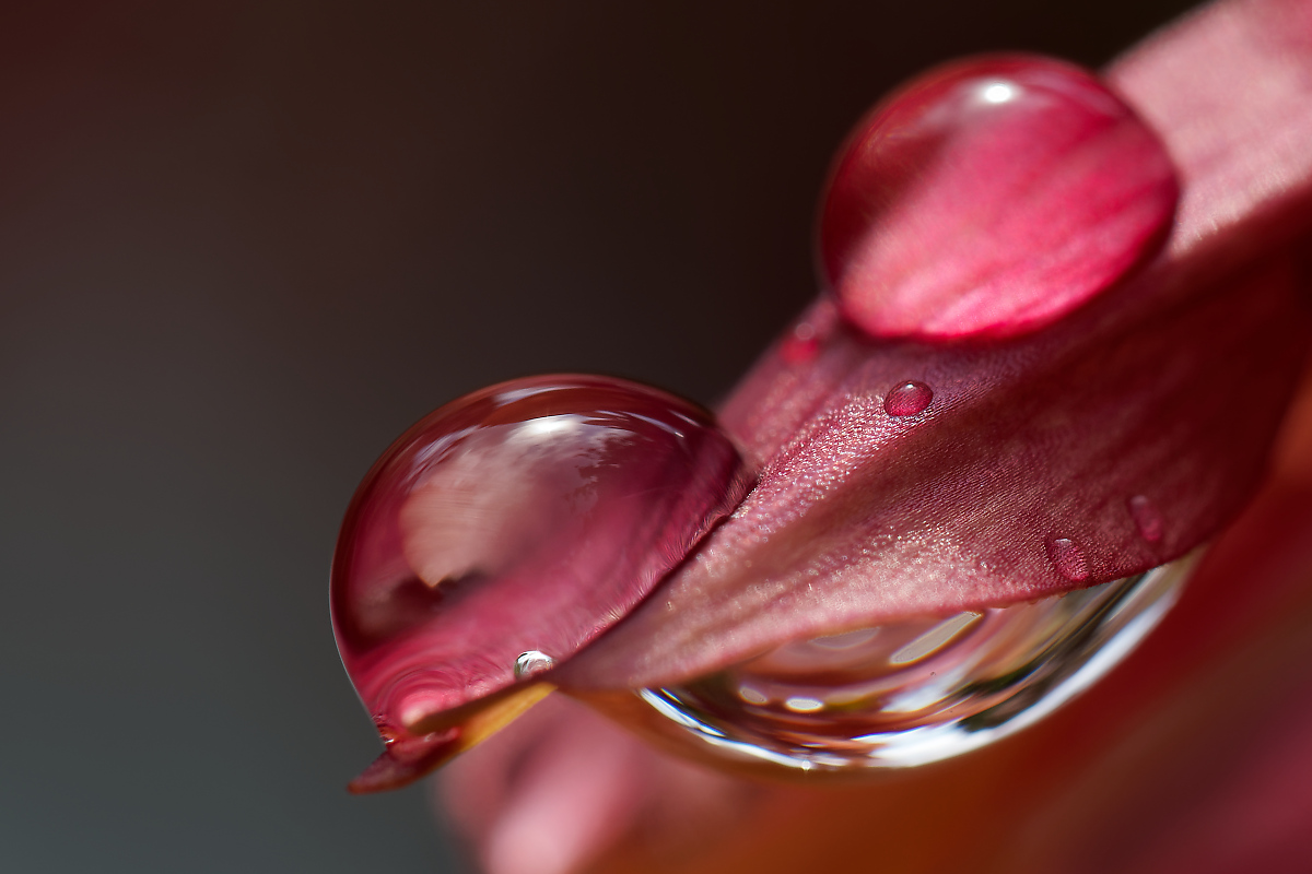 N6303738nikon.jpg