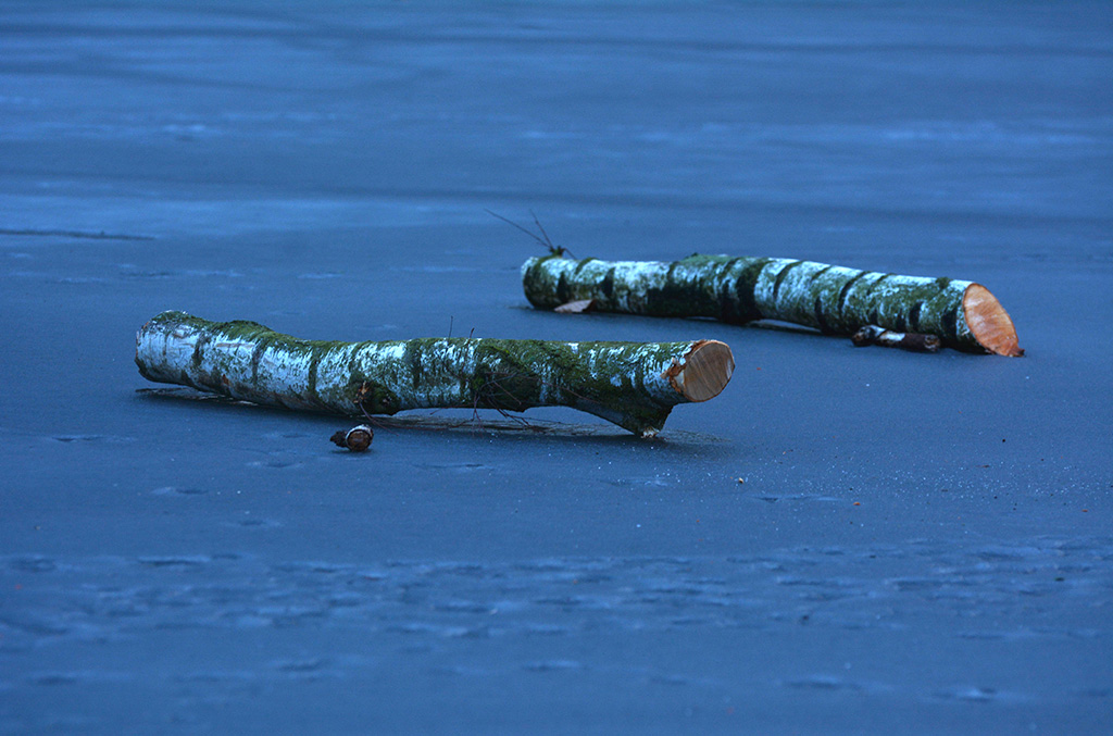 N71 6319a Kopie exif