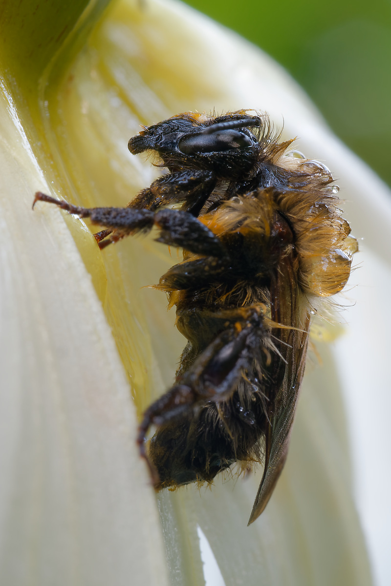 N8024553nikon.jpg