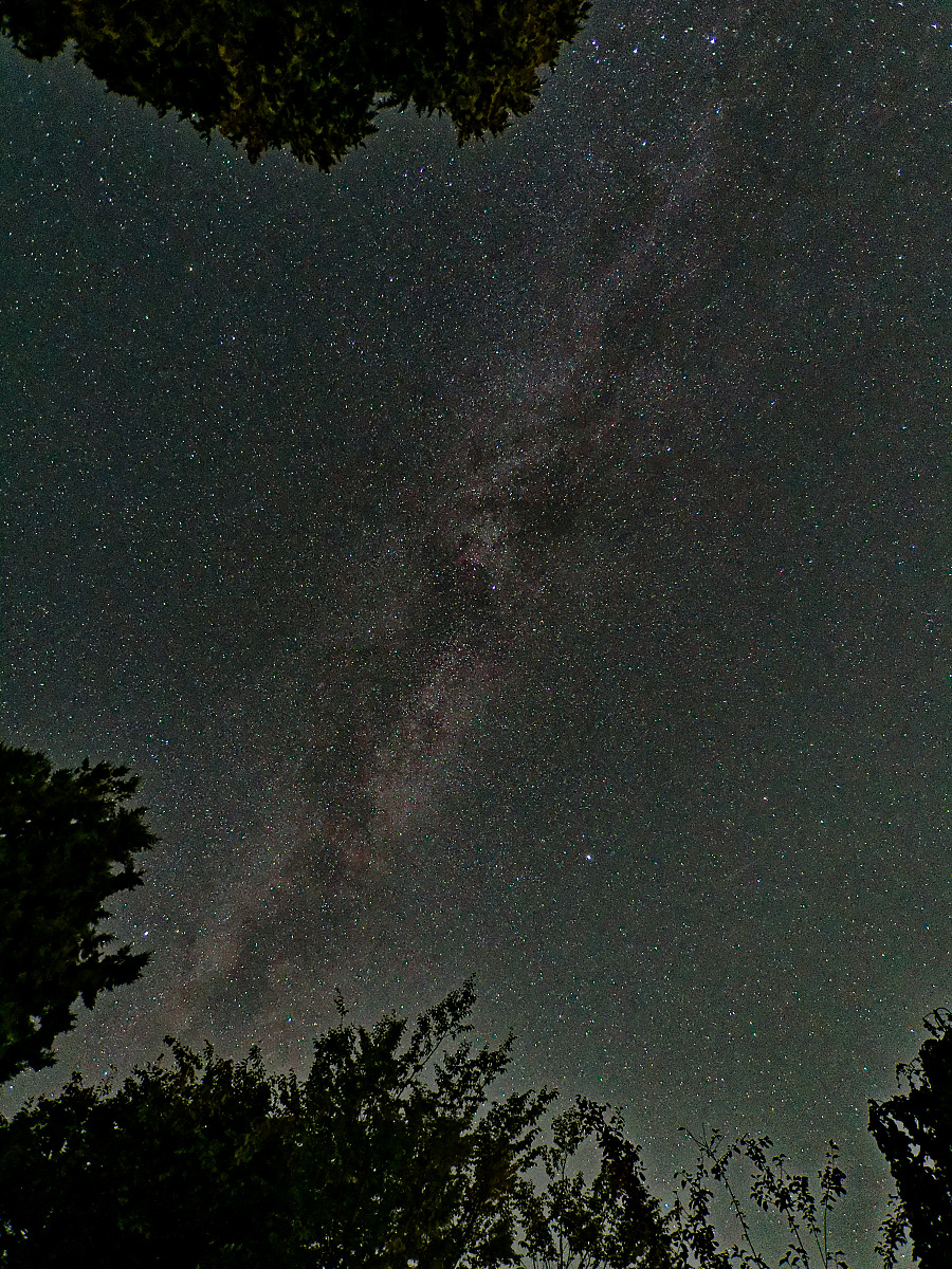 N8196223nikon.jpg
