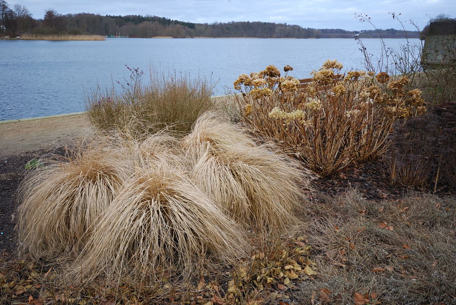 Nach dem Frost
