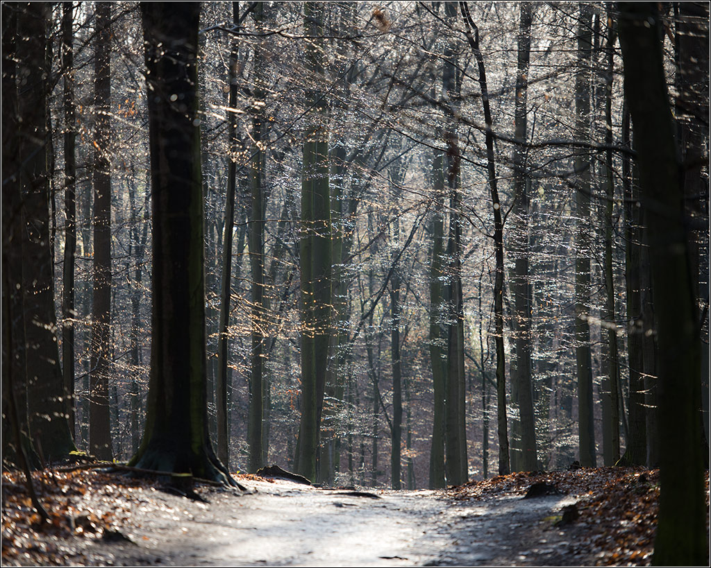 nach dem Regen