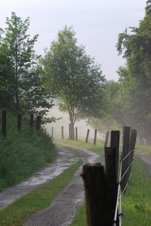 Nach dem Regen