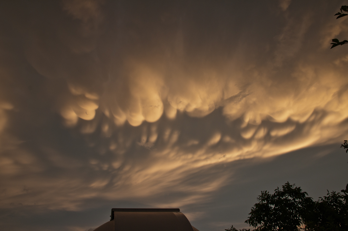 nach dem sturm.DSC2641