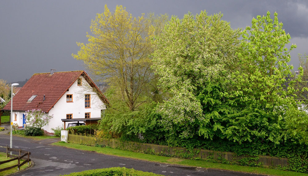 Nach demGewitter 2014 3009