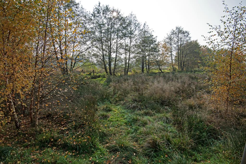 Nach Nebelauflösung