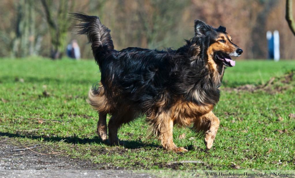 Nachher