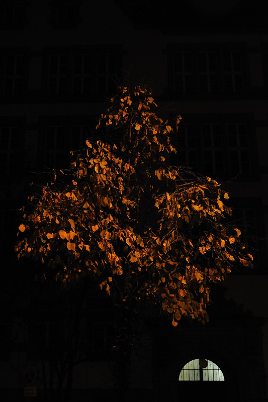 Nachtstueck 01