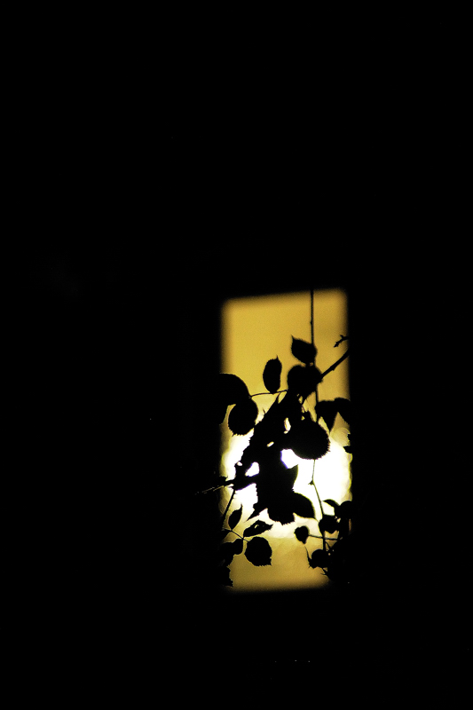 Nachtstueck48
