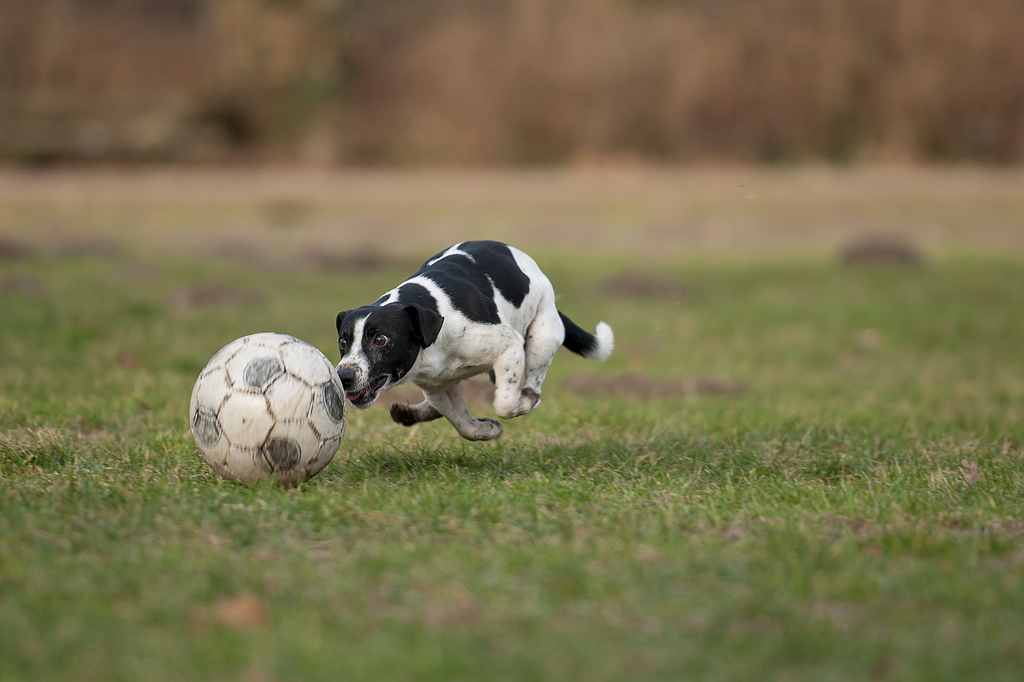 Nah am Ball....