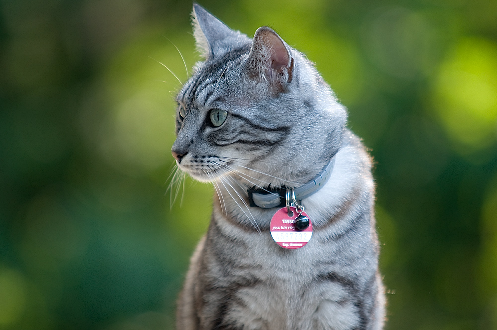 nala