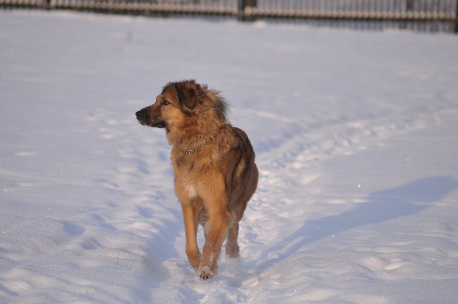 nala