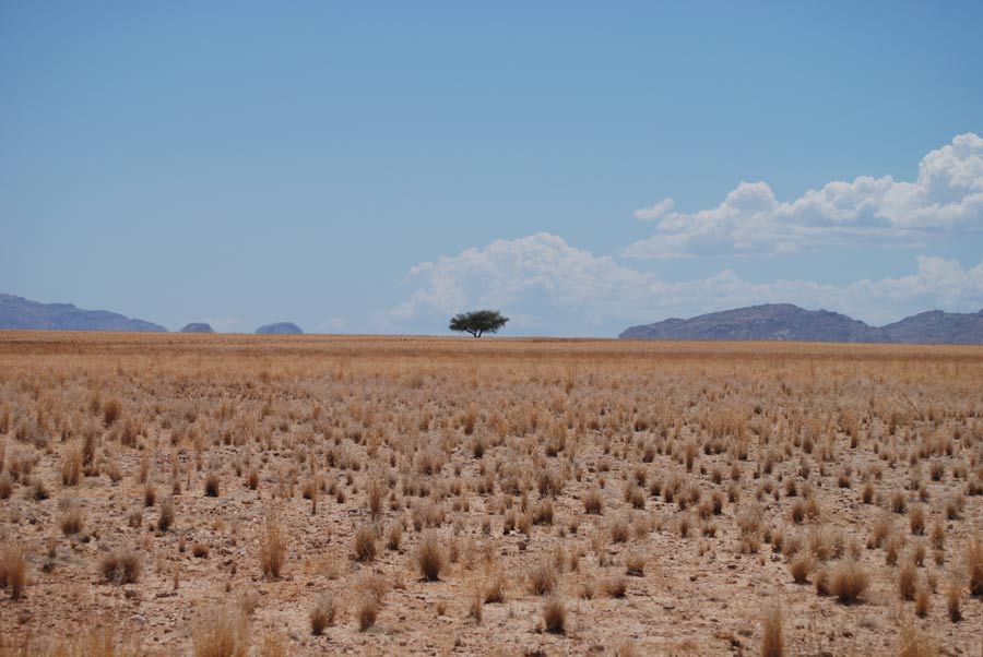 Namib