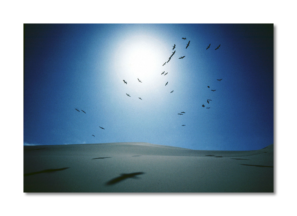namib