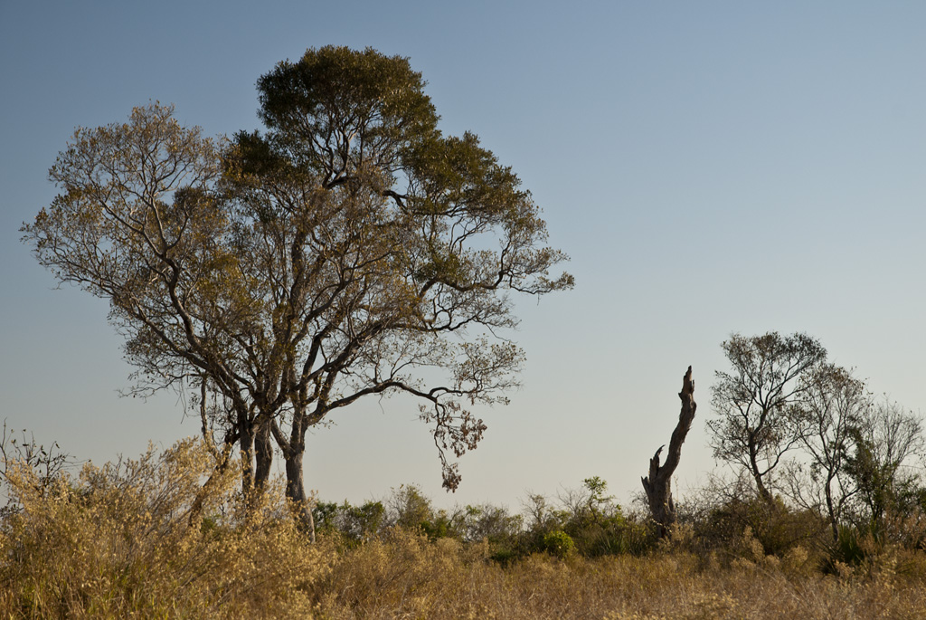 namibia 10
