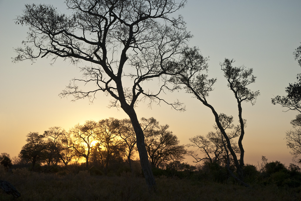 namibia 11