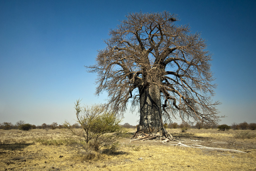 namibia 14