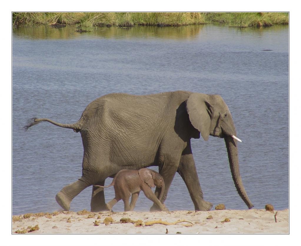 Namibia 2005 084