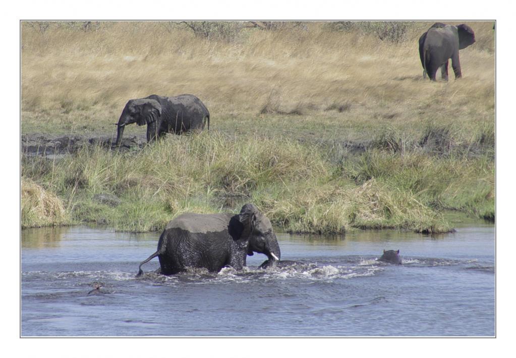 Namibia 2005 090 bearbeitet 1