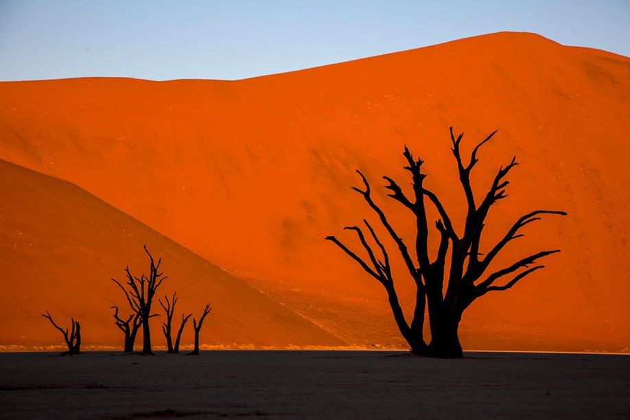 Namibia 2014 JNM 4992