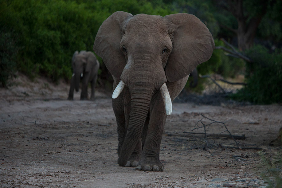 Namibia 2014 JNM 8358