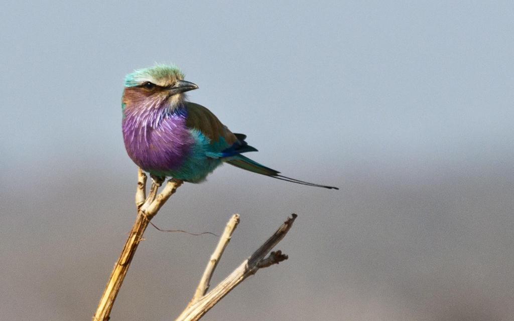 namibia 21