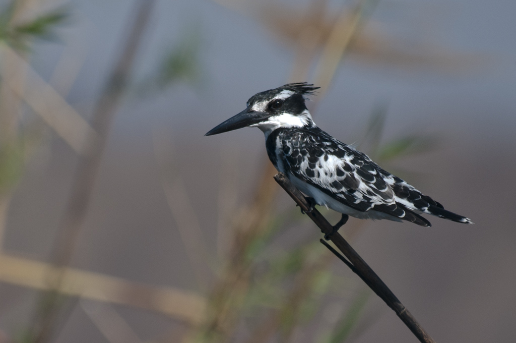 namibia 23