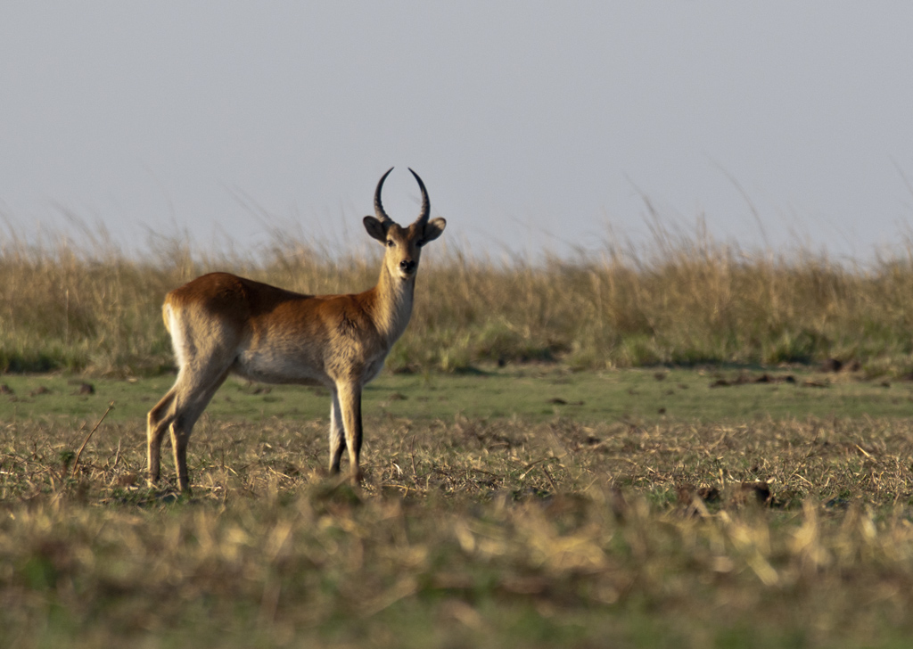 namibia 26