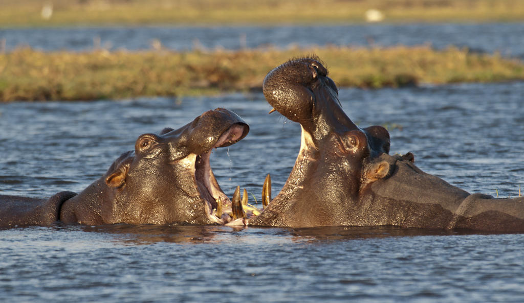 namibia 27